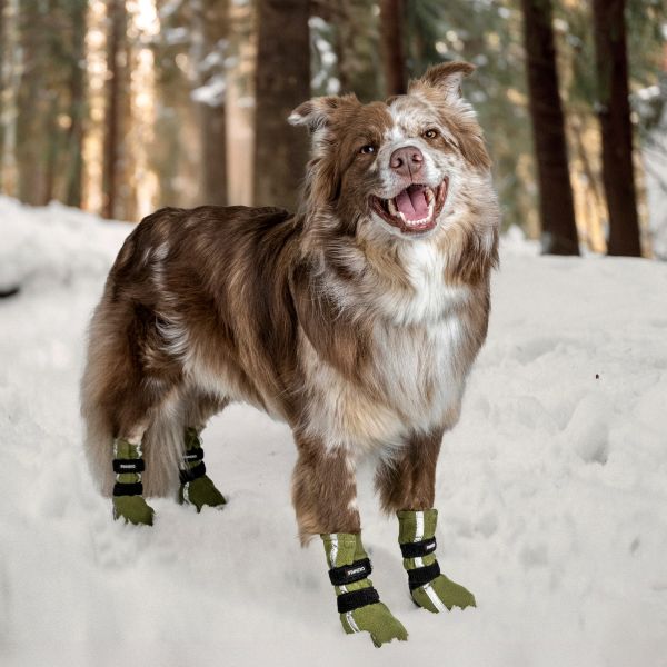 Hundskor