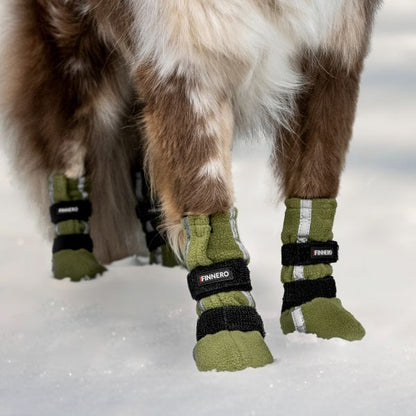 Hundskor