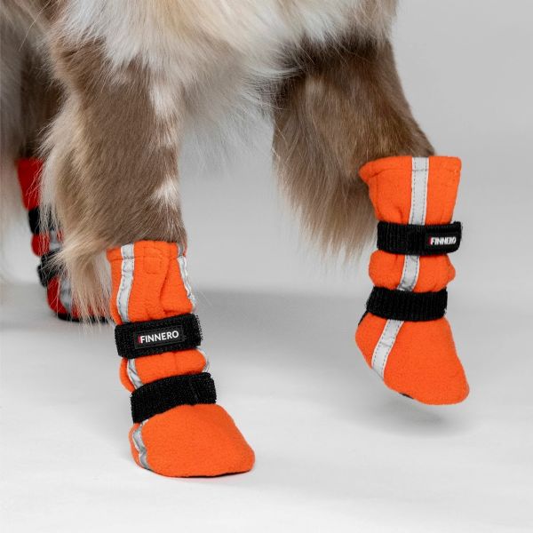 Hundskor